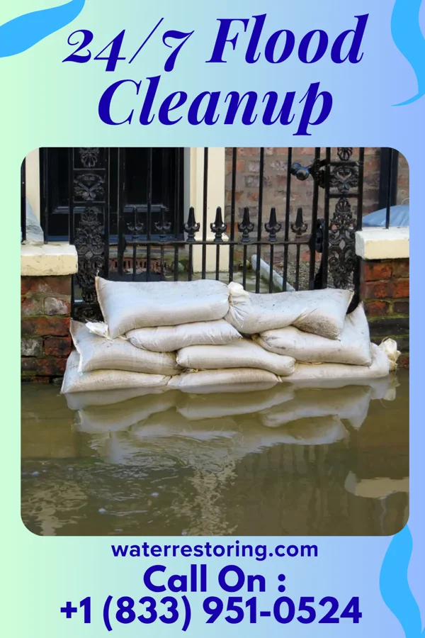 24/7 Flood Cleanup in Purvis, MS