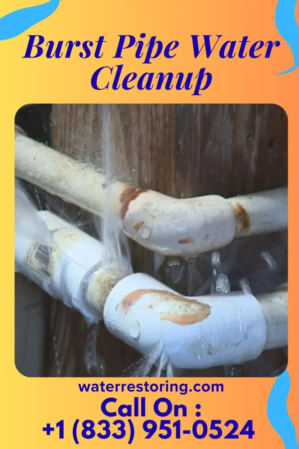 Burst Pipe Water Cleanup in Purvis, MS