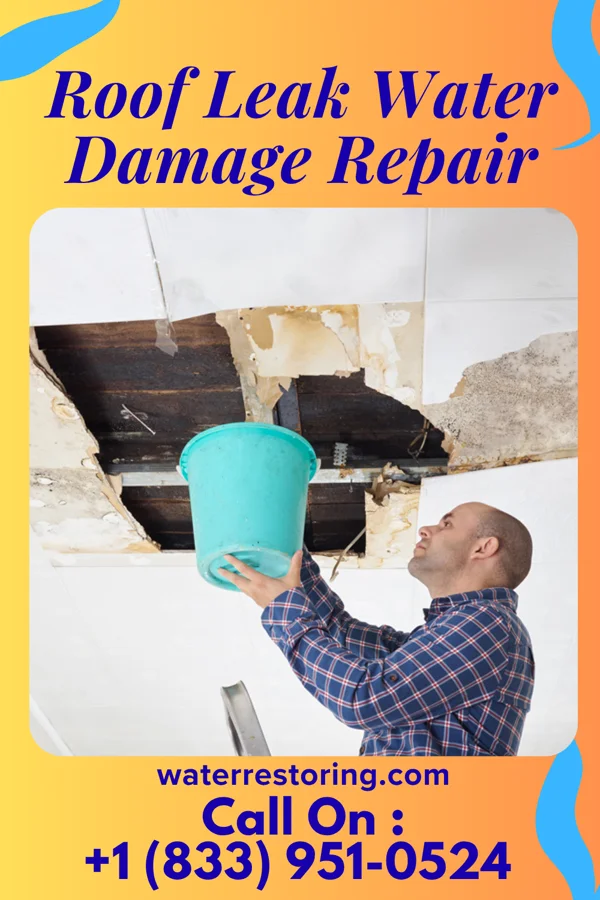 Roof Leak Water Damage Repair in Purvis, MS