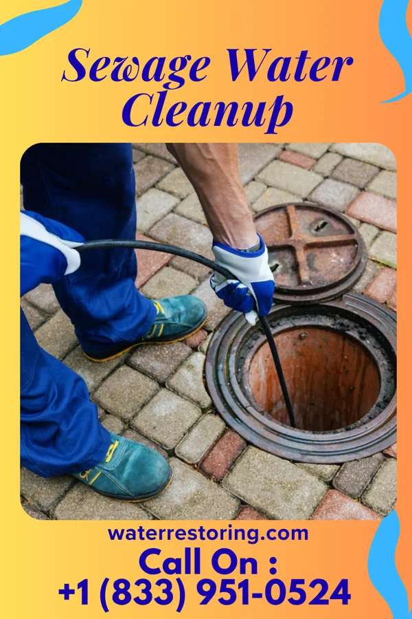 Sewage Water Cleanup in Purvis, MS