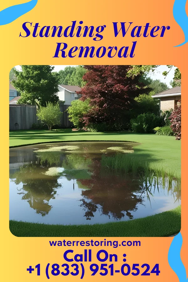Standing Water Removal in Purvis, MS